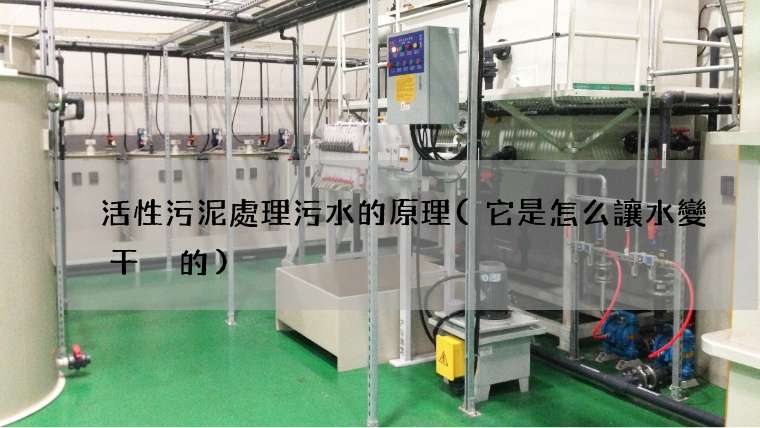 活性污泥處理污水的原理(它是怎么讓水變干凈的)